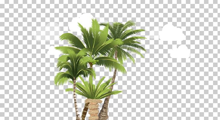 Arecaceae Flowerpot Houseplant Plant Stem Tree PNG, Clipart, Arecaceae, Arecales, Flowerpot, Houseplant, Others Free PNG Download