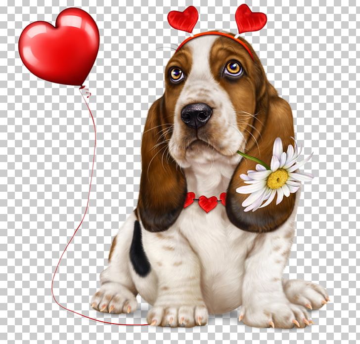 Basset Hound Puppy Yorkshire Terrier Dog Breed Poodle PNG, Clipart, Animals, Basset, Basset Artesien Normand, Basset Hound, Carnivoran Free PNG Download