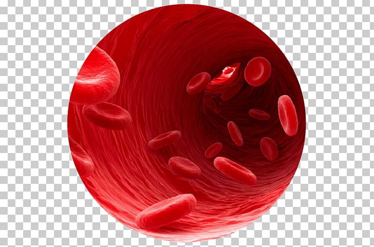 Blood Type Blood Cell Heart Heme PNG, Clipart, Blood, Blood Cell, Blood Donation, Blood Pressure, Blood Product Free PNG Download