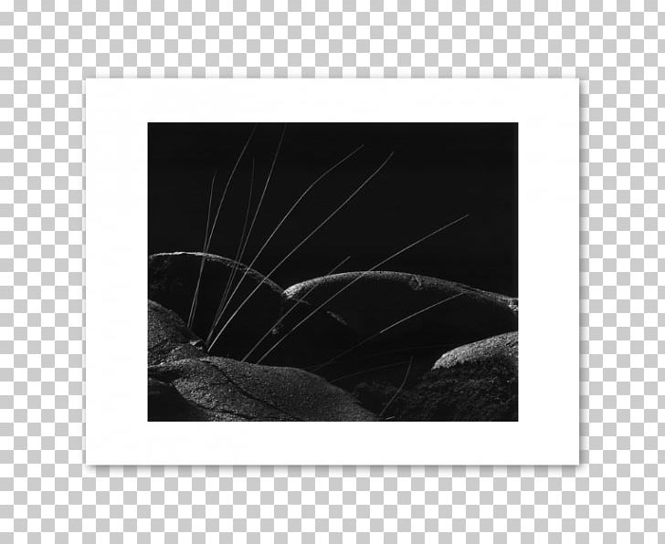 Frames White Black M PNG, Clipart, Black, Black And White, Black M, Others, Picture Frame Free PNG Download