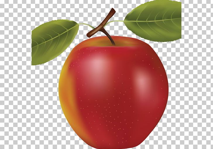 Fruit PNG, Clipart, Accessory Fruit, Acerola, Apple, Art, Download Free PNG Download