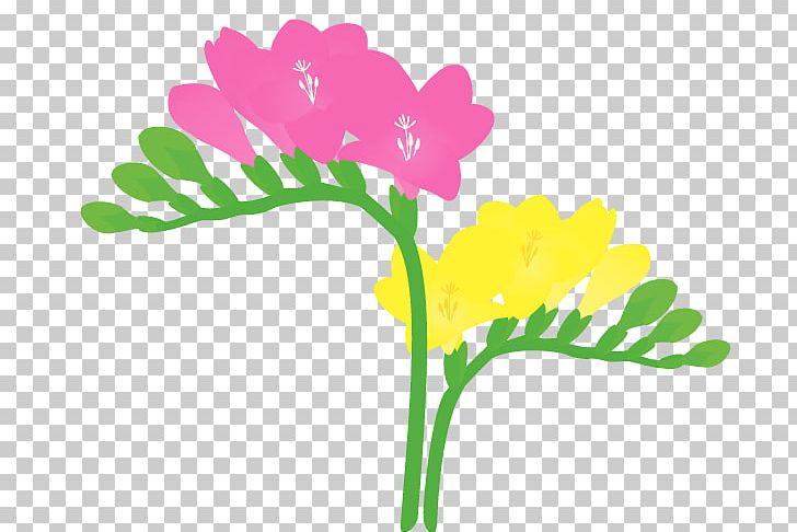 Petal Freesia Cut Flowers Plant PNG, Clipart, Cut Flowers, Flora, Floral Design, Flower, Flowering Plant Free PNG Download