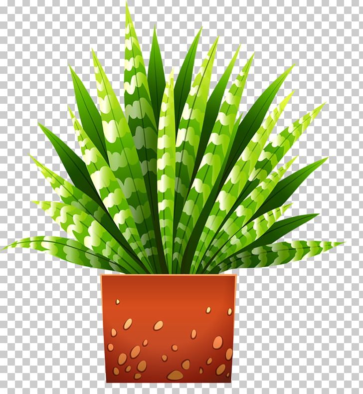 Houseplant Flowerpot Illustration PNG, Clipart, Aloe, Aloe Vera, Aloe Vera Pulp 12 0 1, Bonsai, Euclidean Vector Free PNG Download