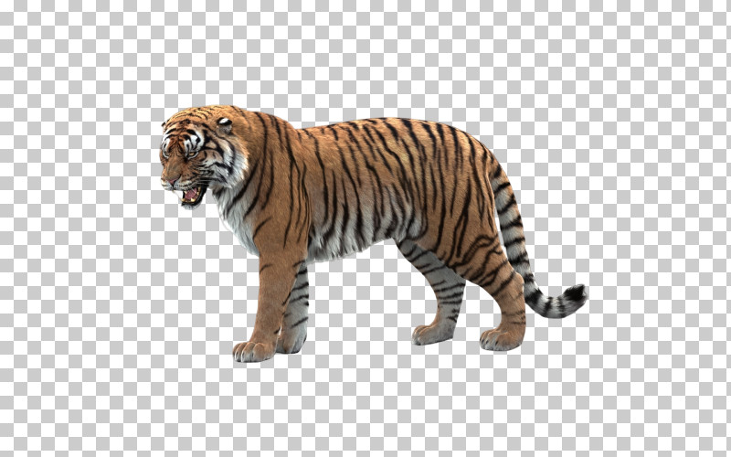 Tiger Bengal Tiger Animal Figure Wildlife Siberian Tiger PNG, Clipart, Animal Figure, Bengal Tiger, National Park, Siberian Tiger, Tiger Free PNG Download