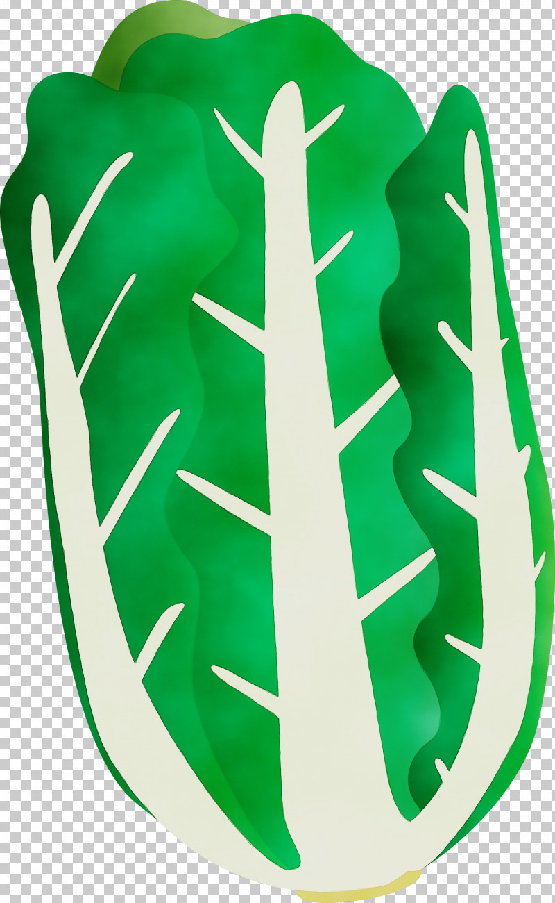 Green Logo Symbol PNG, Clipart, Green, Logo, Nappa Cabbage, Paint, Symbol Free PNG Download