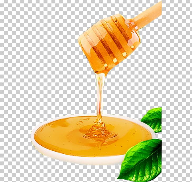 Honey Bee Honey Bee Food Candy PNG, Clipart, Acacia, Amazing Nature, Bee, Beeswax, Beverage Free PNG Download