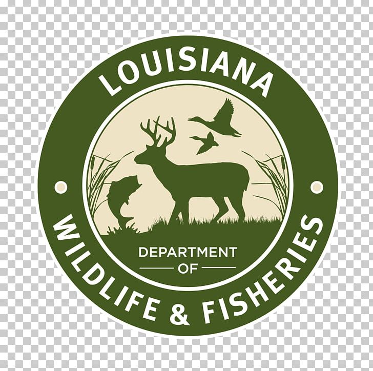 Louisiana Department Of Wildlife And Fisheries Venice Hunting License Fishing PNG, Clipart, Antler, Brand, Deer, Fishing, Fishing License Free PNG Download