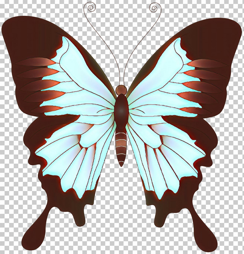 Moths And Butterflies Butterfly Insect Wing Swallowtail Butterfly PNG, Clipart, Butterfly, Insect, Moths And Butterflies, Papilio, Papilio Machaon Free PNG Download