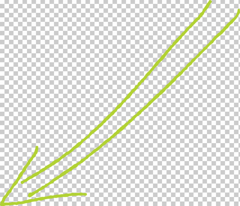 Hand Drawn Arrow PNG, Clipart, Grass Family, Green, Hand Drawn Arrow, Leaf, Line Free PNG Download