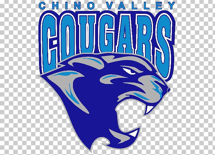 Chino Valley High School National Secondary School Mannix Family Solar High School Football PNG, Clipart, American Football, Area, Arizona, Blue, Boy Free PNG Download