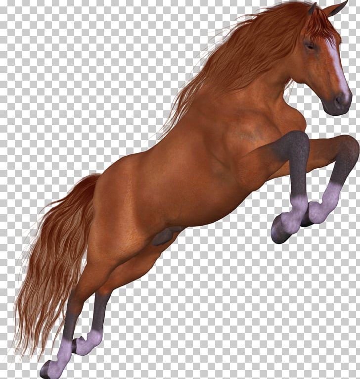 Mustang Stallion Mare Foal Colt PNG, Clipart, Animal, Animal Figure, Bit, Bridle, Colt Free PNG Download