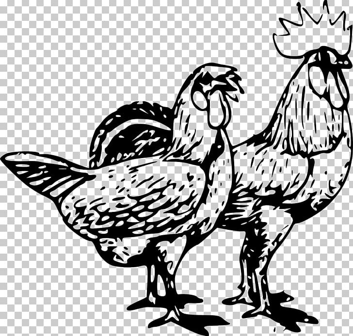 Chicken Drawing Rooster PNG, Clipart, Animals, Art, Artwork, Beak, Bird Free PNG Download
