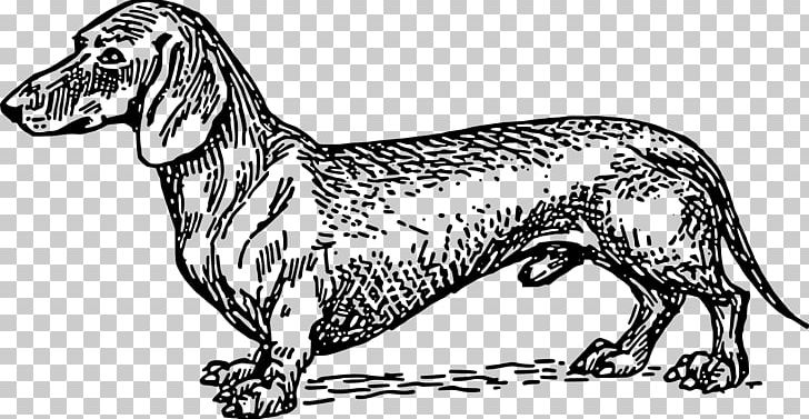 Dachshund Drawing Line Art PNG, Clipart, Animal Figure, Art, Black And White, Breed, Carnivoran Free PNG Download