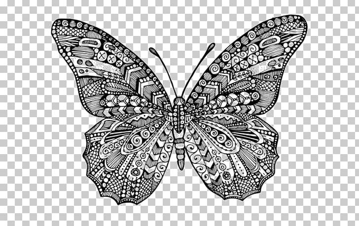 Monarch Butterfly Insect Brush-footed Butterflies Full-Color Decorative Butterfly Illustrations PNG, Clipart, Arthropod, Brush Footed Butterfly, Butterfly, Drawing, Insect Free PNG Download