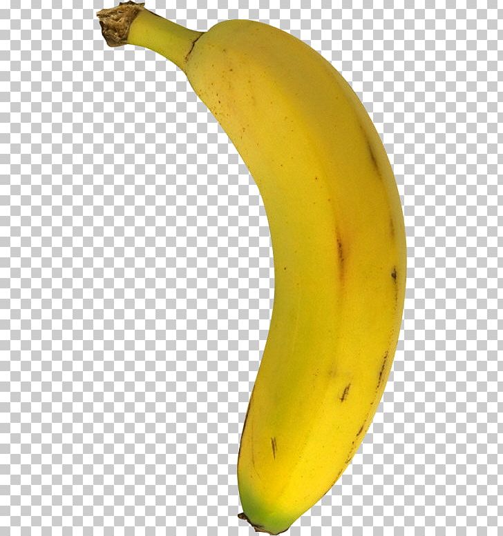 Saba Banana Index.hr Croatian Cooking Banana PNG, Clipart, Art, Banana, Banana Family, Bodybuilding, Cooking Banana Free PNG Download