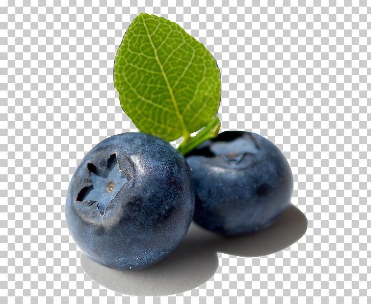 Bilberry Fruit European Blueberry PNG, Clipart, Aristotelia Chilensis, Berry, Bilberry, Blueberry, Blueberry Tea Free PNG Download