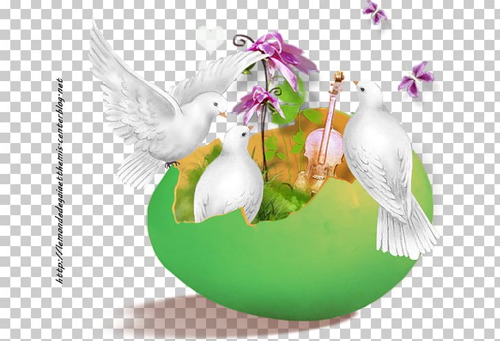 Easter PNG, Clipart, Beak, Bird, Computer Wallpaper, Desktop Wallpaper, Easter Free PNG Download