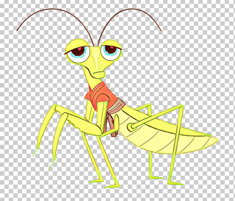 Insect Mantidae Grasshopper Cartoon Mantis PNG, Clipart, Cartoon, Cricketlike Insect, Grasshopper, Insect, Mantidae Free PNG Download