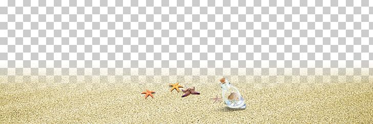 Bird Mammal Pet Livestock PNG, Clipart, Background, Beach Background, Beach Ball, Beaches, Beach Party Free PNG Download