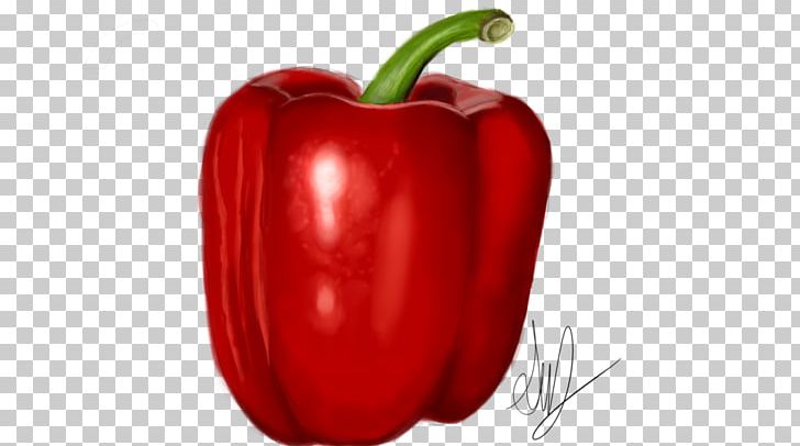 Chili Pepper Cayenne Pepper Bell Pepper Paprika Peperoncino PNG, Clipart, Bell Pepper, Bell Peppers And Chili Peppers, Capsicum, Cayenne Pepper, Chili Pepper Free PNG Download