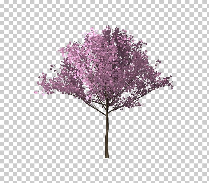 Tree Branch Cherry Blossom PNG, Clipart, Blossom, Branch, Bunga, Cherry Blossom, Download Free PNG Download