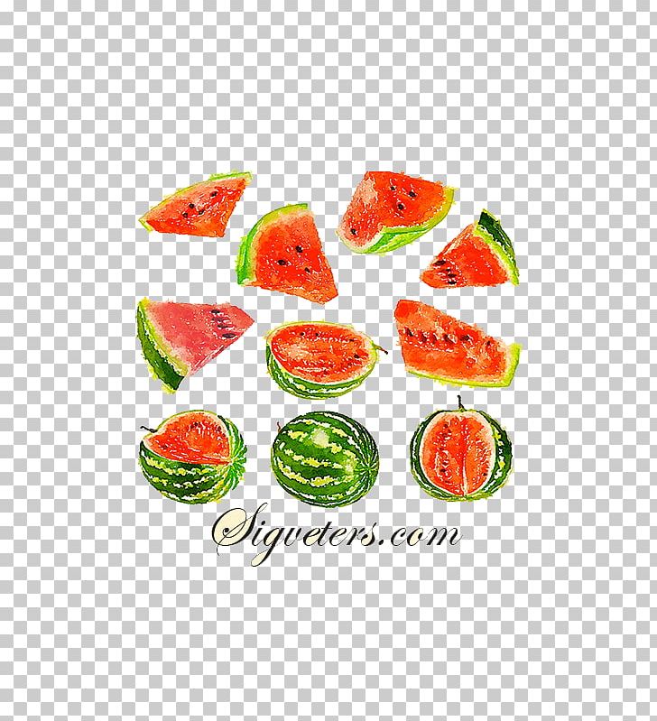 Watercolor Painting Auglis Illustration PNG, Clipart, Cartoon, Citrullus, Colored Pencil, Food, Fruit Free PNG Download