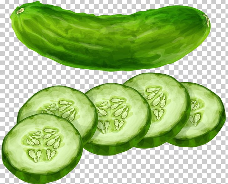 Cucumber Vegetable PNG, Clipart, Background Green, Computer, Cucumber Gourd And Melon Family, Cucumis, Download Free PNG Download