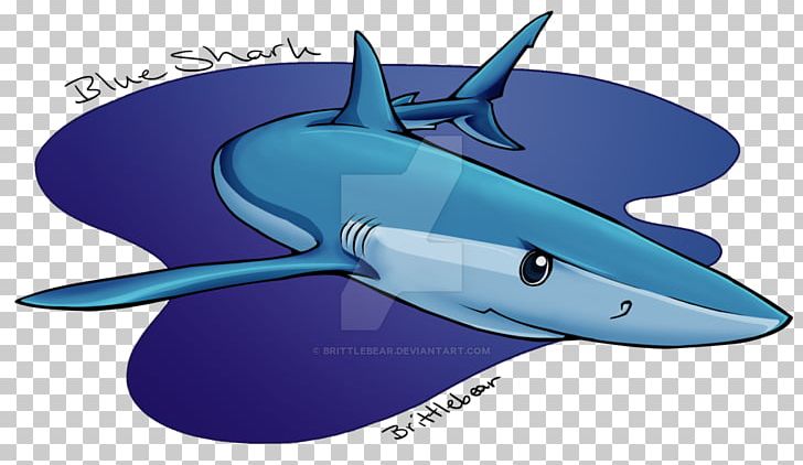 Shark Cobalt Blue Marine Biology Dolphin PNG, Clipart, Biology, Blue, Blue Bear, Cartilaginous Fish, Cobalt Free PNG Download