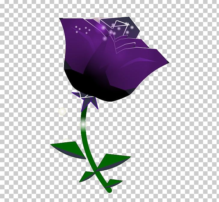 Dofus Flower Purple Violet Petal PNG, Clipart, 1800flowers, Carnation, Color, Common Daisy, Dofus Free PNG Download