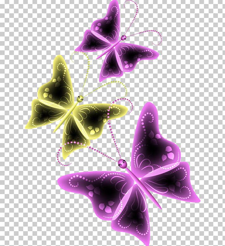 Butterfly Insect Animaatio PNG, Clipart, Albom, Animaatio, Author, Blog, Butterflies And Moths Free PNG Download