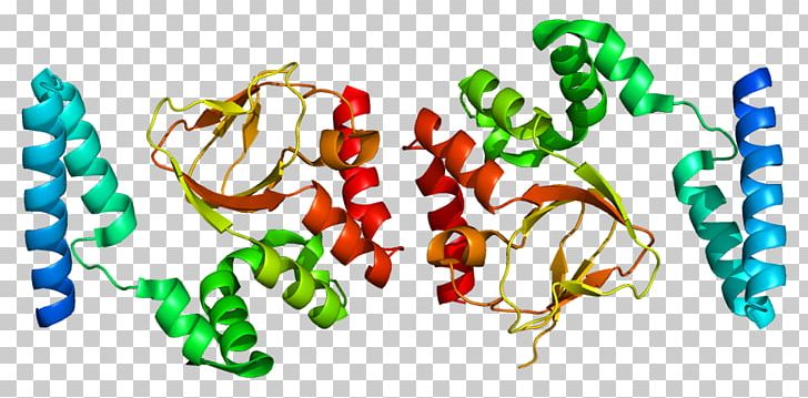 HCN2 HCN4 HCN Channel Cyclic Nucleotide–gated Ion Channel Funny Current PNG, Clipart, 1 Q, Chronic Condition, Chronic Pain, Cyclic Nucleotide, Food Free PNG Download