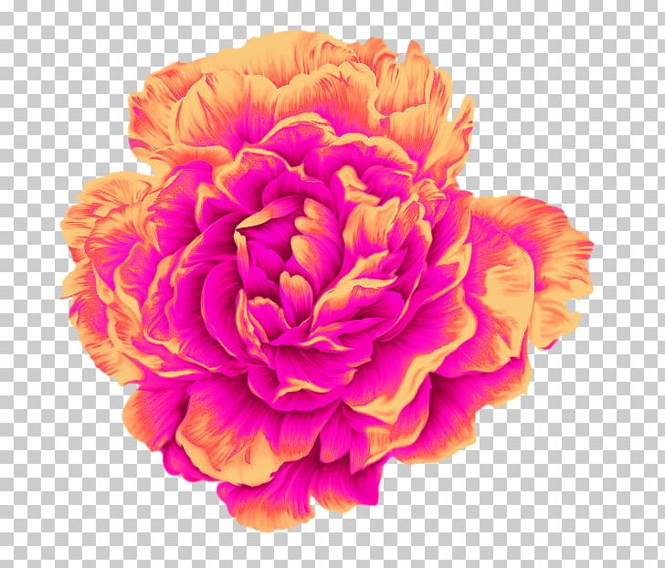 Moutan Peony Poster PNG, Clipart, Adobe Illustrator, Advert, Cdr, Dahlia, Flower Free PNG Download