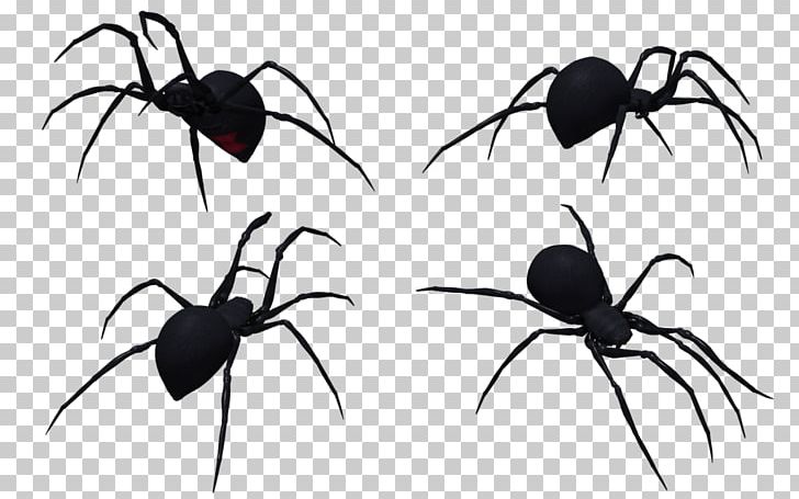 Widow Spiders Insect K2 White PNG, Clipart, Ant, Anthony Mcpartlin, Arachnid, Arthropod, Black And White Free PNG Download