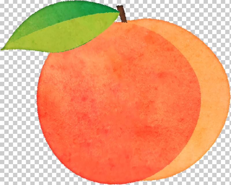 Grapefruit Peach Apple Apple PNG, Clipart, Apple, Grapefruit, Peach Free PNG Download