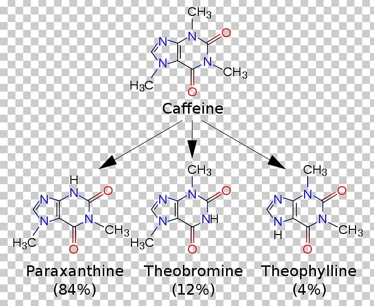 Coffee Tea Theobromine Paraxanthine Theophylline PNG, Clipart, Angle, Area, Caffegrave, Caffeine, Chocolate Free PNG Download