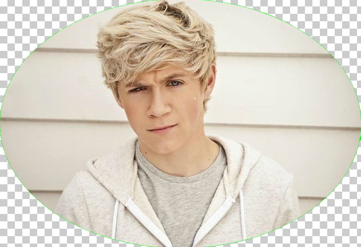 Niall Horan One Direction The X Factor Musician Guitarist PNG, Clipart, Blond, Boy Band, Flicker, Forehead, Guitarist Free PNG Download