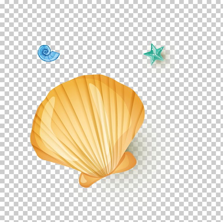 Seashell Pearl Shellfish Orange PNG, Clipart, Download, Elements, Euclidean Vector, Invertebrate, Marine Free PNG Download