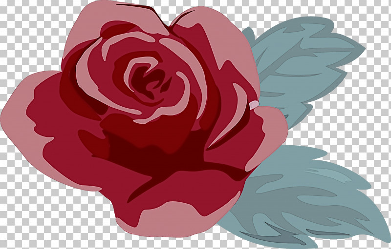 Garden Roses PNG, Clipart, Animation, Camellia, Cut Flowers, Drawing, Flower Free PNG Download