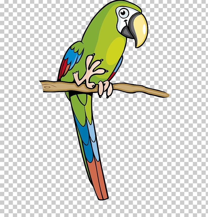 Amazon Parrot Macaw Parakeet PNG, Clipart, Amazon Parrot, Animals, Animation, Background Green, Balloon Cartoon Free PNG Download