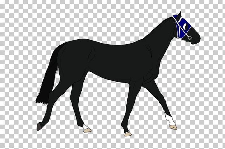 Foal Stallion Mare Colt Mustang PNG, Clipart, Bridle, Colt, Dog Harness, Fauna, Foal Free PNG Download