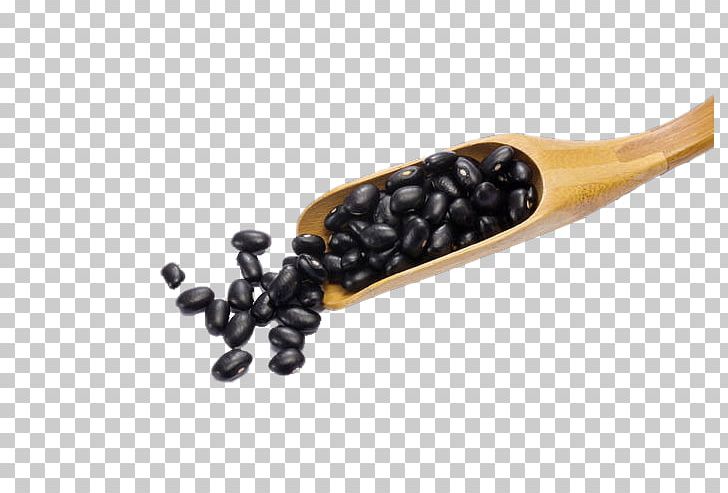 Black Turtle Bean Food PNG, Clipart, Background Black, Bean, Beans, Black, Black Background Free PNG Download