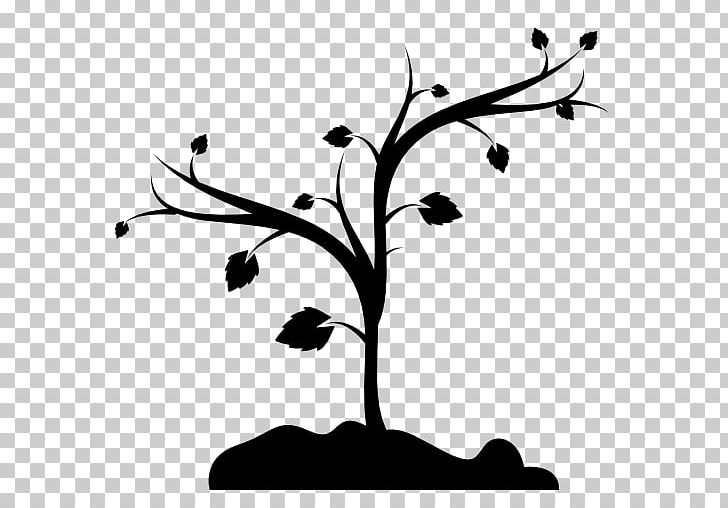 Computer Icons Tree Shape Trunk PNG, Clipart, Black And White, Branch, Computer Icons, Encapsulated Postscript, Germination Free PNG Download