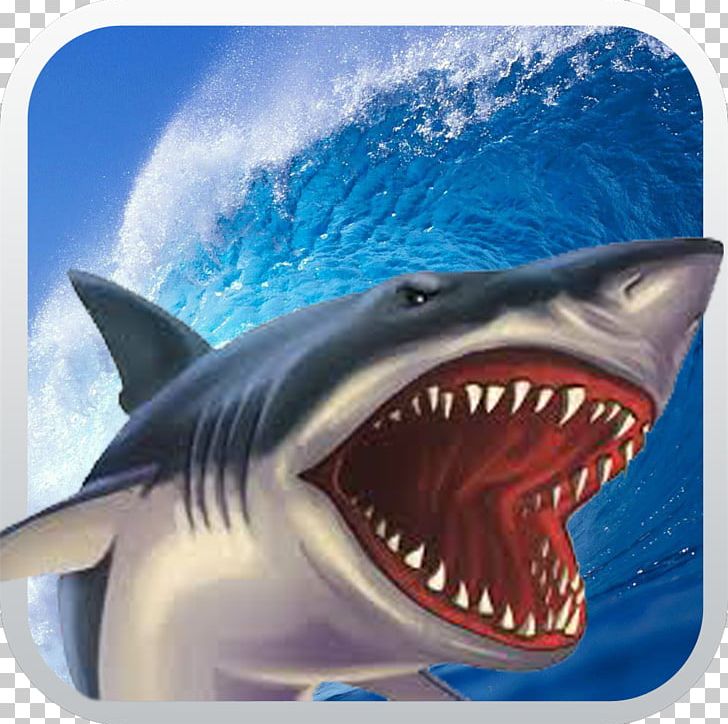 Shark Attack Simulator 3D Crocodile Attack Free: Wild 3D PNG, Clipart, 3d Computer Graphics, Android, Animals, Carcharhiniformes, Cartilaginous Fish Free PNG Download
