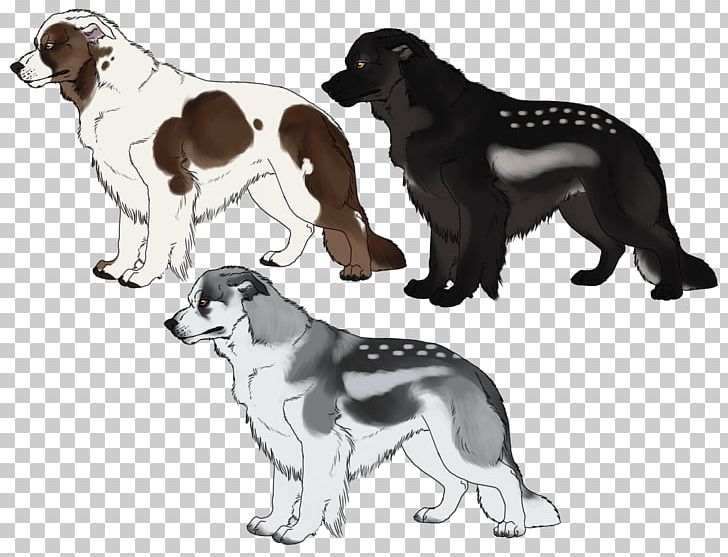Dog Breed Stabyhoun Sporting Group Spaniel PNG, Clipart, Aurum, Breed, Carnivoran, Crossbreed, Csd Free PNG Download