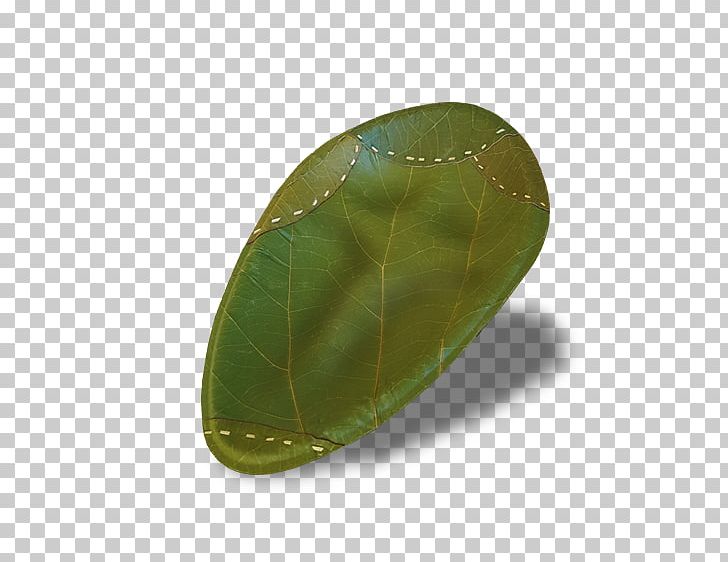 Leaf PNG, Clipart, Bioplastic, Leaf Free PNG Download