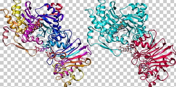 Macromolecule Protein Nucleic Acid Chemistry PNG, Clipart, Acetylcholinesterase, Animaatio, Art, Biologic, Chemist Free PNG Download