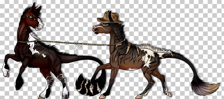Mustang Pony Stallion Rein Mane PNG, Clipart,  Free PNG Download