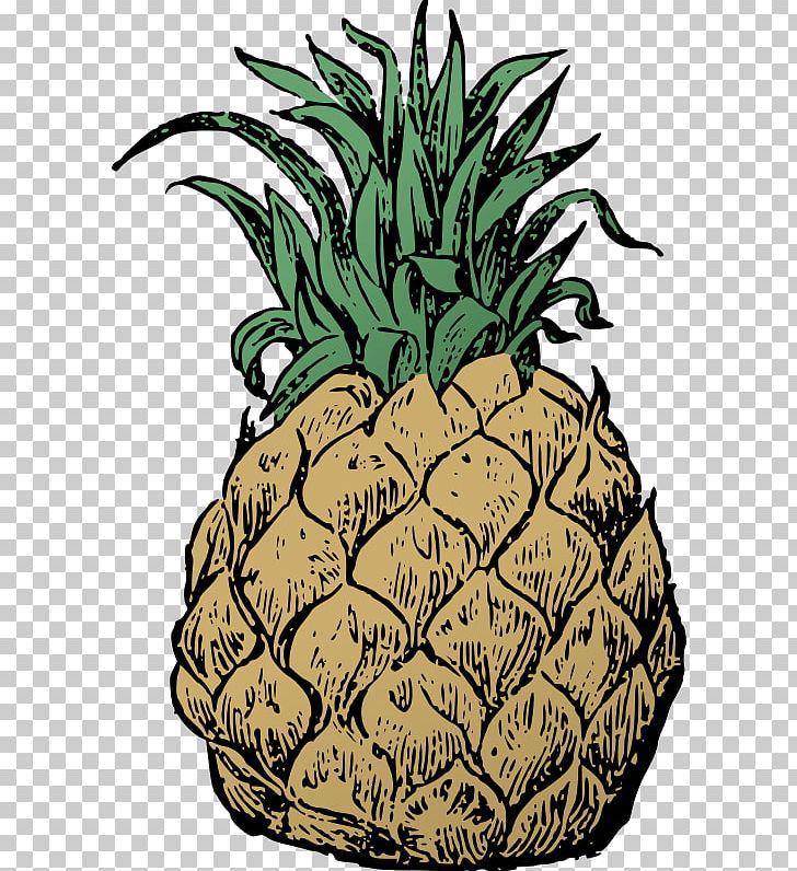 Pineapple Food PNG, Clipart, Ananas, Berry, Bromeliaceae, Cartoon, Desktop Wallpaper Free PNG Download