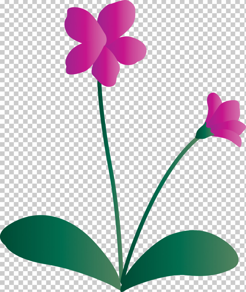Violet Flower PNG, Clipart, Biology, Flora, Flower, Herbaceous Plant, Leaf Free PNG Download