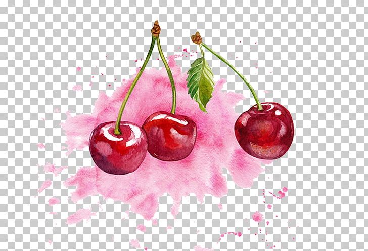 Cherry Watercolor Painting PNG, Clipart, Cherries, Color, Food, Fruit, Fruit Nut Free PNG Download